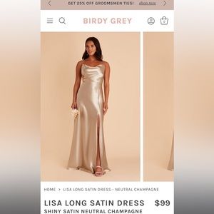 Birdy grey size medium in satin neutral champagne